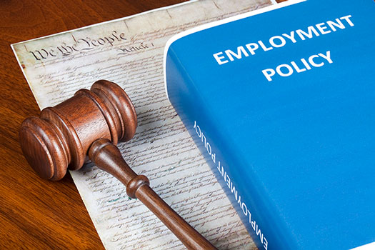 Employment Policy image for Employment Law website